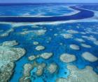 Το Great Barrier Reef, κοραλλιογενείς ύφαλοι σε όλο τον κόσμο μεγαλύτερο. Αυστραλία.